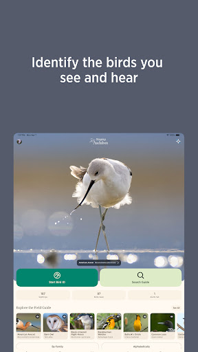 Audubon Bird Guide screenshot 13