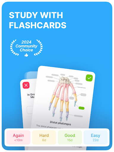 Noji: Study with Flashcards screenshot 15