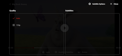ZoZo Player - URL Video Player screenshot 3