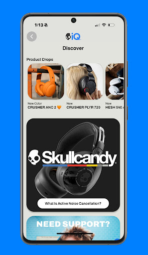 Skull-iQ screenshot 6