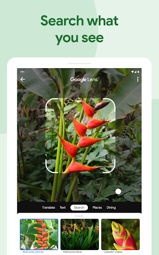 Google Photos screenshot 15