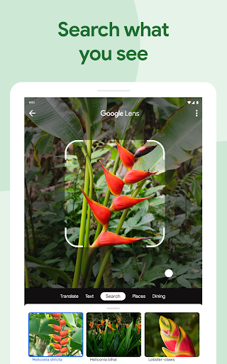 Google Photos screenshot 11