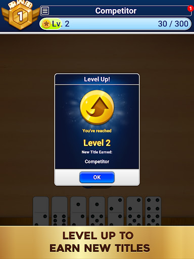 Dominoes: Classic Dominos Game screenshot 10