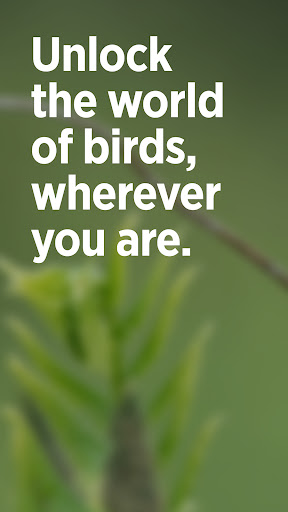 Audubon Bird Guide screenshot 1