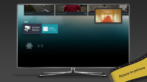 tinyCam Monitor PRO for IP Cam screenshot 24