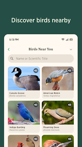 Audubon Bird Guide screenshot 5