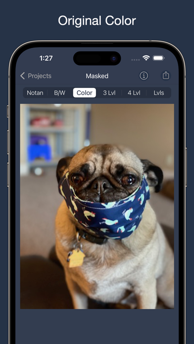 NotanIzer screenshot 4