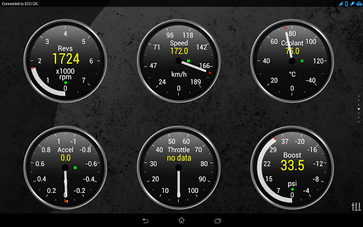 Torque Pro (OBD 2 & Car) screenshot 14