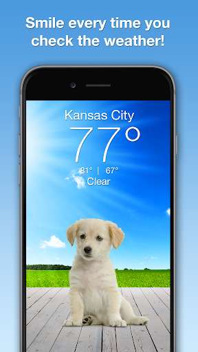 Weather Puppy - App & Widget screenshot 6