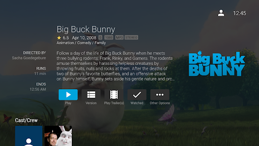 Jellyfin for Android TV screenshot 8