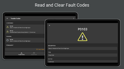 OBD Fusion (Car Diagnostics) screenshot 17