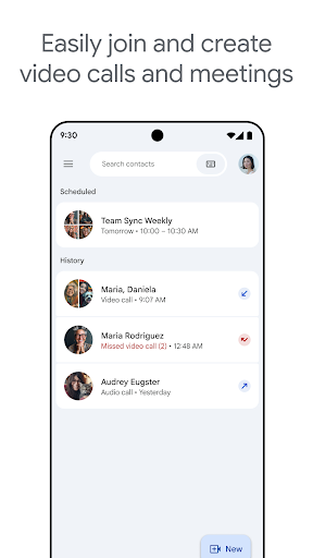 Google Meet screenshot 2