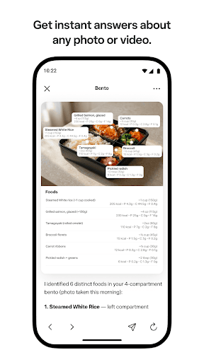 Meta AI screenshot 7