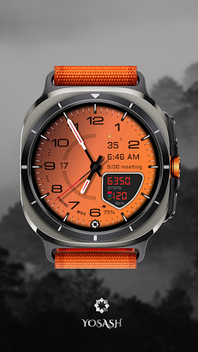 D355 Premium Watch Face screenshot 11
