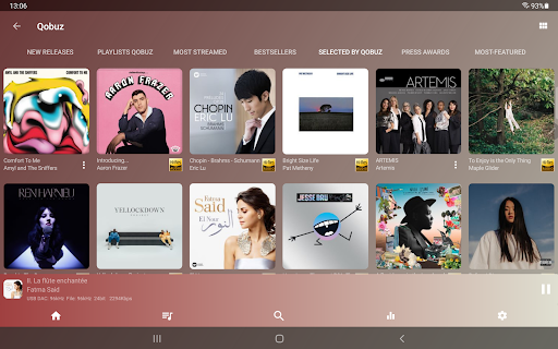 USB Audio Player PRO screenshot 19