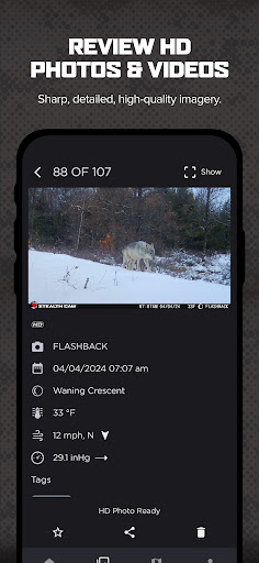 Command screenshot 8