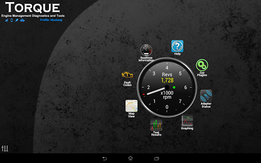 Torque Pro (OBD 2 & Car) screenshot 8