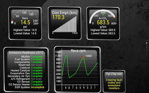 Torque Pro (OBD 2 & Car) screenshot 16