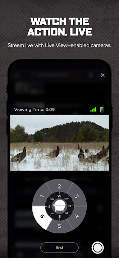 Command screenshot 2