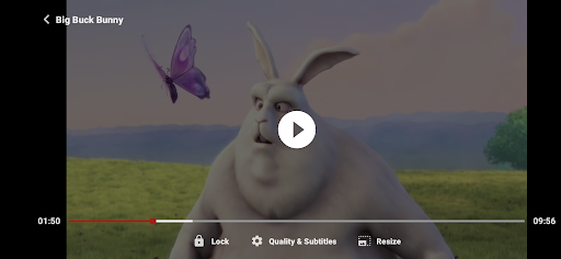 ZoZo Player - URL Video Player screenshot 4