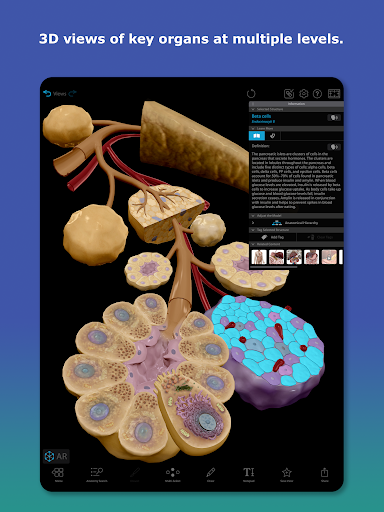 Human Anatomy Atlas 2026 screenshot 15