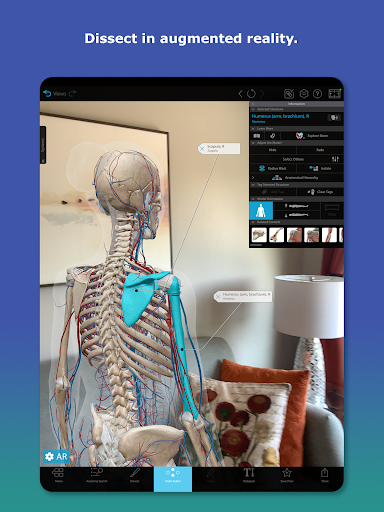 Human Anatomy Atlas 2026 screenshot 12