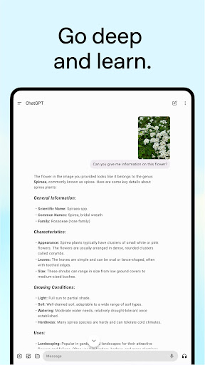 ChatGPT screenshot 15