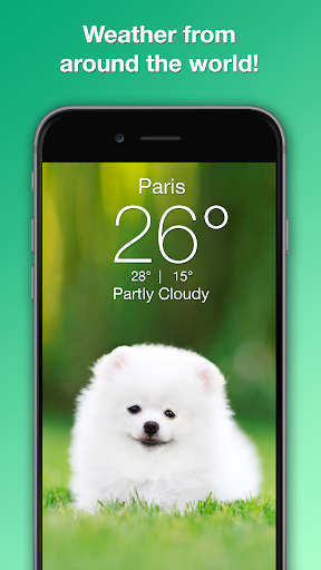 Weather Puppy - App & Widget screenshot 3