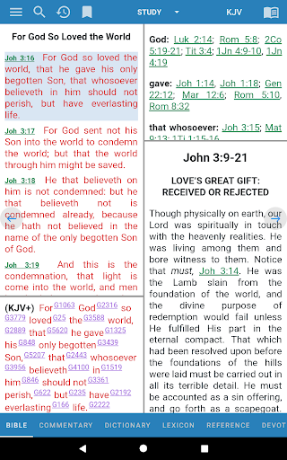 e-Sword: Bible Study to Go screenshot 16