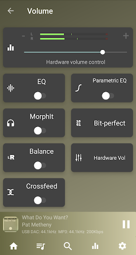 USB Audio Player PRO screenshot 1
