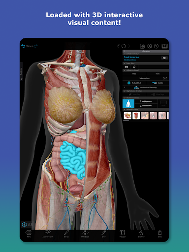 Human Anatomy Atlas 2026 screenshot 9