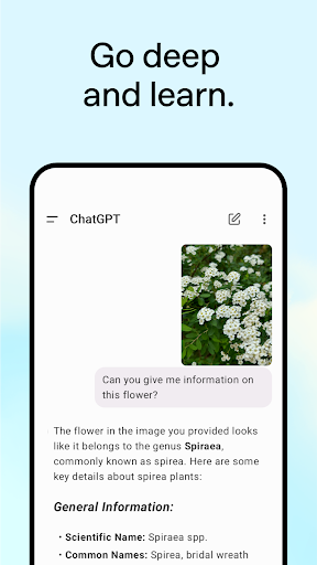ChatGPT screenshot 17