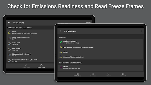 OBD Fusion (Car Diagnostics) screenshot 24
