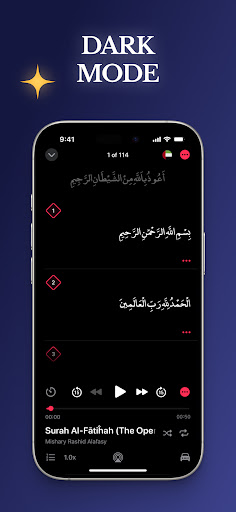Quran Pro - القران الكريم screenshot 18