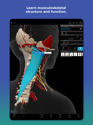 Human Anatomy Atlas 2026 screenshot 11