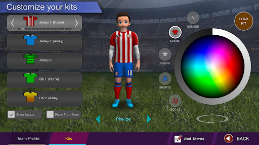 Pro League Soccer screenshot 1